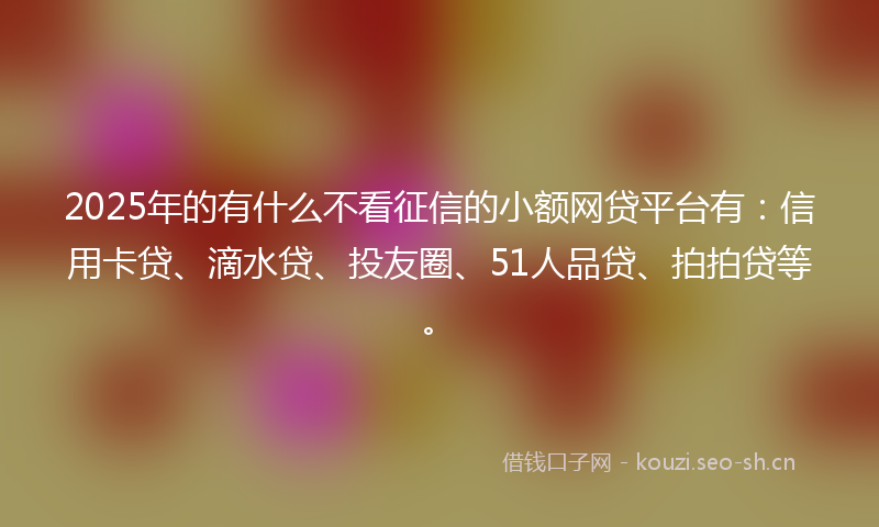 2025年的有什么不看征信的小额网贷平台有:信用卡贷、滴水贷、投友圈、51人品贷、拍拍贷等。