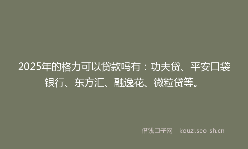 2025年的格力可以贷款吗有：功夫贷、平安口袋银行、东方汇、融逸花、微粒贷等。