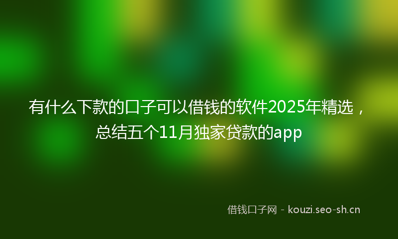 有什么下款的口子可以借钱的软件2025年精选，总结五个11月独家贷款的app