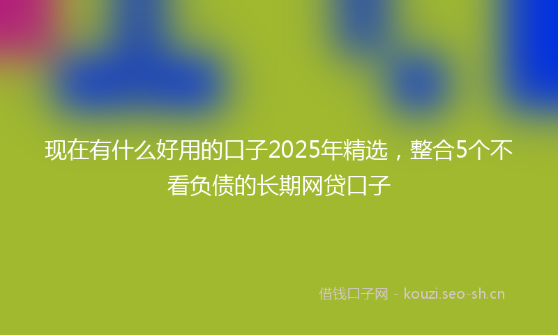 现在有什么好用的口子2025年精选，整合5个不看负债的长期网贷口子