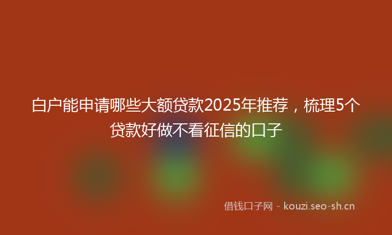 白户能申请哪些大额贷款2025年推荐，梳理5个贷款好做不看征信的口子