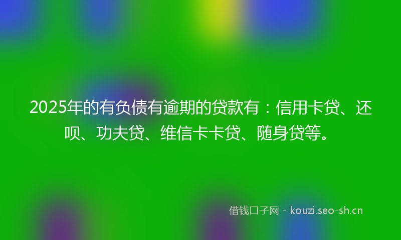 2025年的有负债有逾期的贷款有：信用卡贷、还呗、功夫贷、维信卡卡贷、随身贷等。