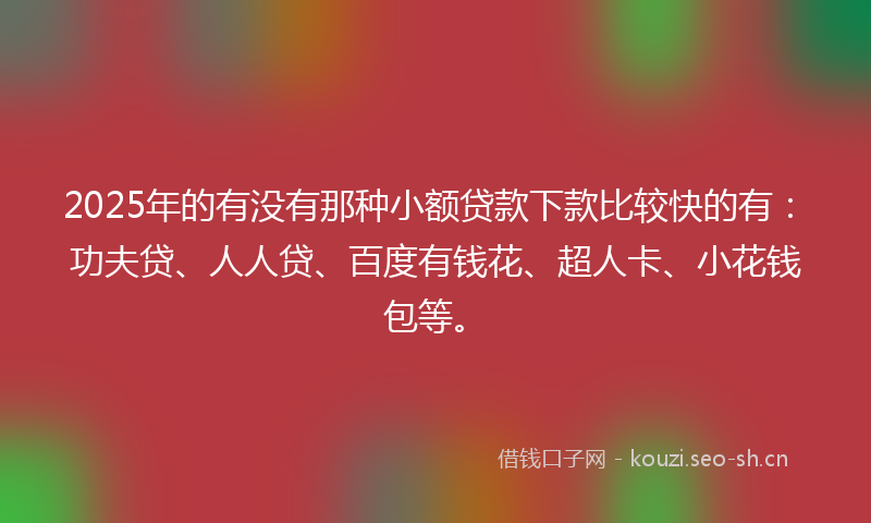 2025年的有没有那种小额贷款下款比较快的有：功夫贷、人人贷、百度有钱花、超人卡、小花钱包等。