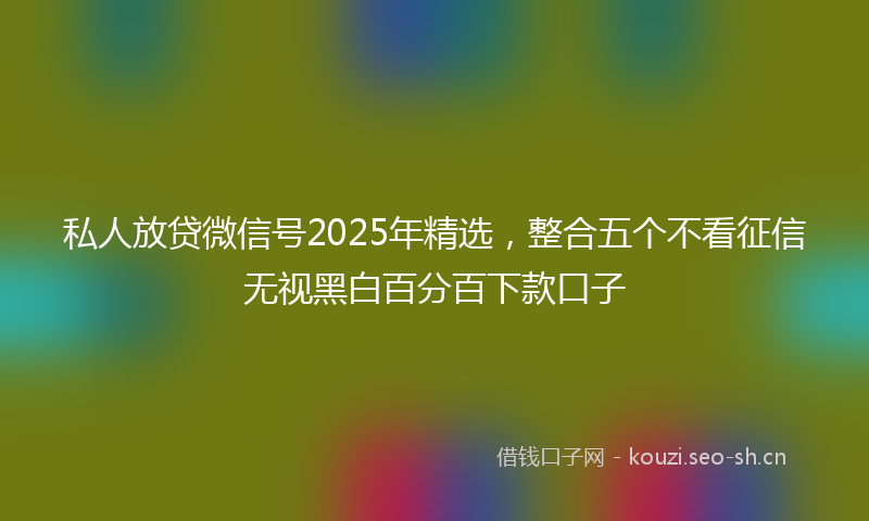 私人放贷微信号2025年精选,整合五个不看征信无视黑白百分百下款口子