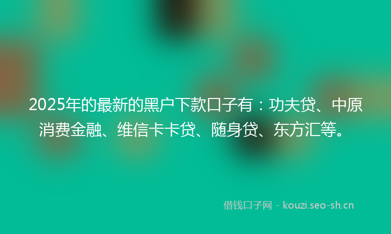 2025年的最新的黑户下款口子有：功夫贷、中原消费金融、维信卡卡贷、随身贷、东方汇等。