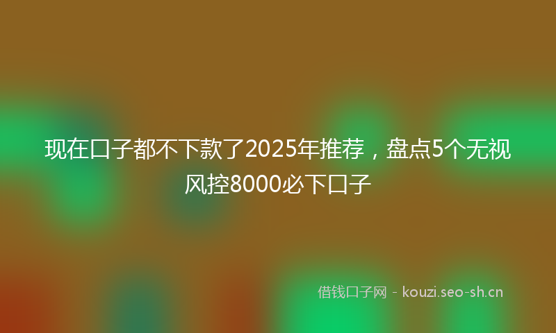 现在口子都不下款了2025年推荐，盘点5个无视风控8000必下口子