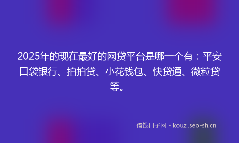 2025年的现在最好的网贷平台是哪一个有：平安口袋银行、拍拍贷、小花钱包、快贷通、微粒贷等。
