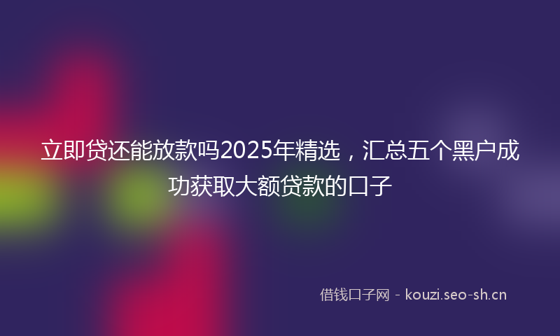立即贷还能放款吗2025年精选，汇总五个黑户成功获取大额贷款的口子