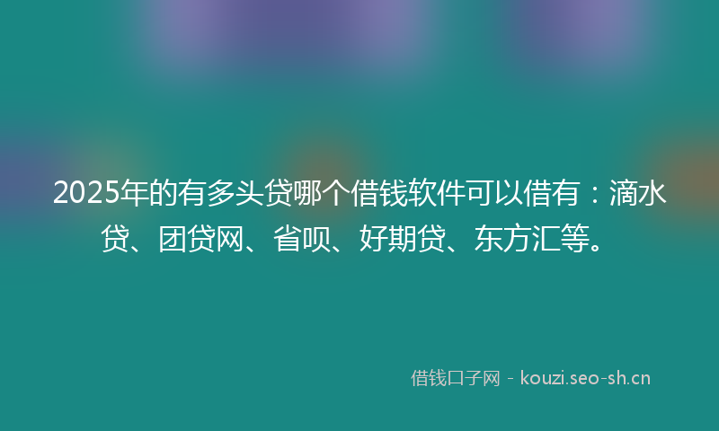 2025年的有多头贷哪个借钱软件可以借有：滴水贷、团贷网、省呗、好期贷、东方汇等。