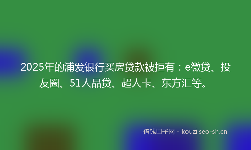 2025年的浦发银行买房贷款被拒有:e微贷、投友圈、51人品贷、超人卡、东方汇等。