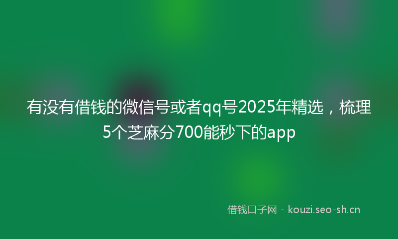 有没有借钱的微信号或者qq号2025年精选，梳理5个芝麻分700能秒下的app