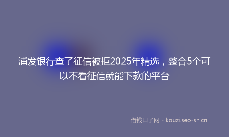 浦发银行查了征信被拒2025年精选，整合5个可以不看征信就能下款的平台