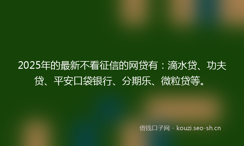 2025年的最新不看征信的网贷有：滴水贷、功夫贷、平安口袋银行、分期乐、微粒贷等。