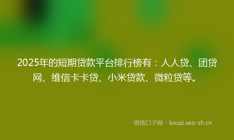 2025年的短期贷款平台排行榜有：人人贷、团贷网、维信卡卡贷、小米贷款、微粒贷等。