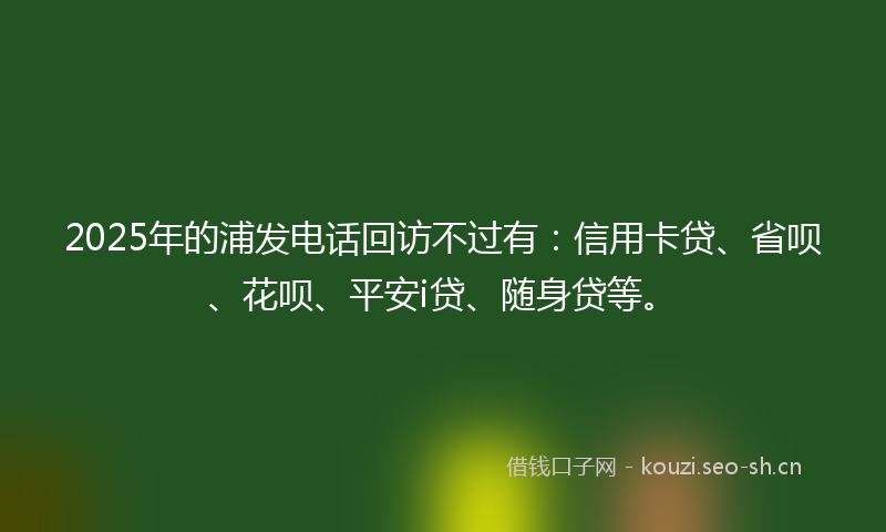 2025年的浦发电话回访不过有：信用卡贷、省呗、花呗、平安i贷、随身贷等。