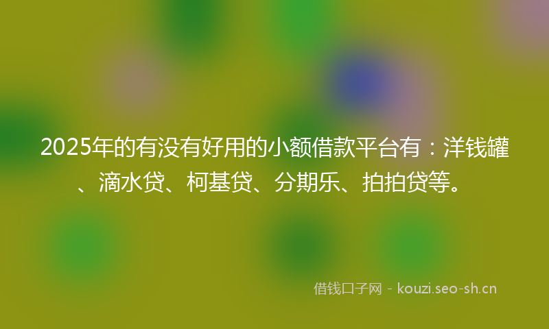 2025年的有没有好用的小额借款平台有：洋钱罐、滴水贷、柯基贷、分期乐、拍拍贷等。