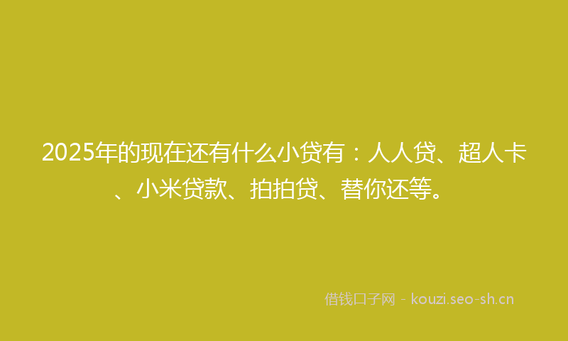 2025年的现在还有什么小贷有：人人贷、超人卡、小米贷款、拍拍贷、替你还等。