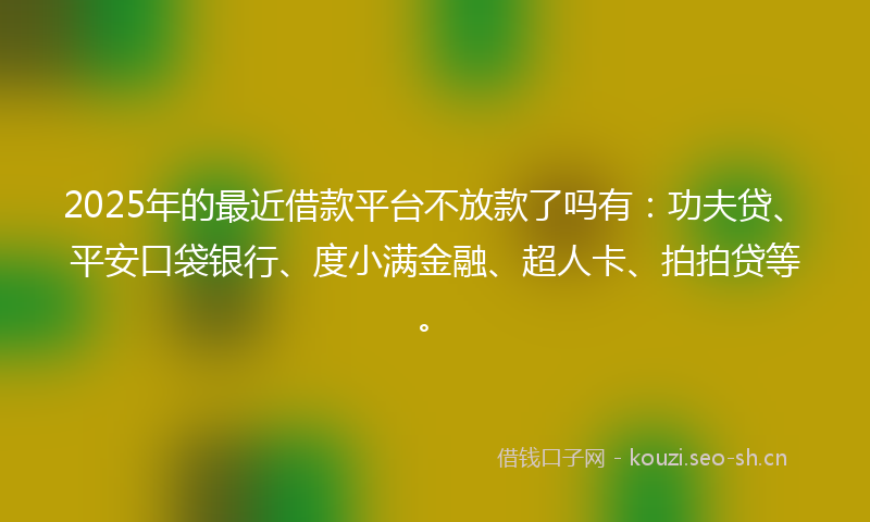 2025年的最近借款平台不放款了吗有：功夫贷、平安口袋银行、度小满金融、超人卡、拍拍贷等。