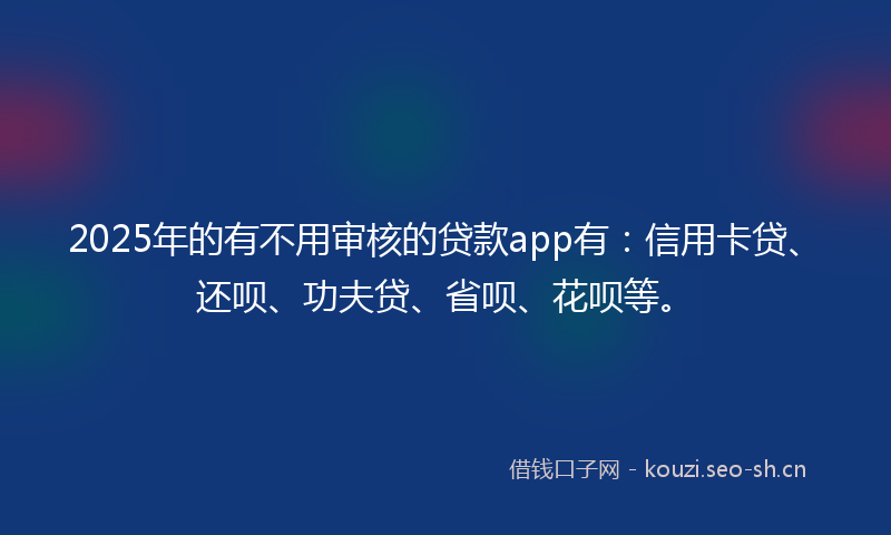 2025年的有不用审核的贷款app有：信用卡贷、还呗、功夫贷、省呗、花呗等。
