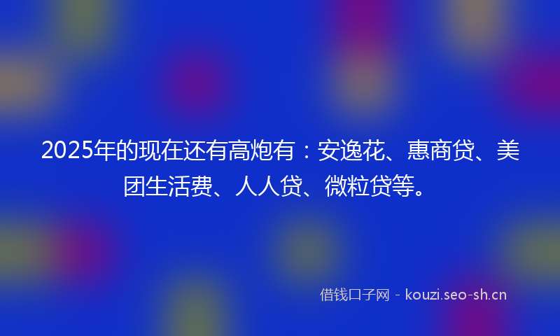 2025年的现在还有高炮有：安逸花、惠商贷、美团生活费、人人贷、微粒贷等。