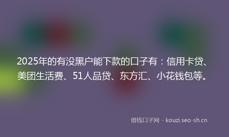2025年的有没黑户能下款的口子有：信用卡贷、美团生活费、51人品贷、东方汇、小花钱包等。
