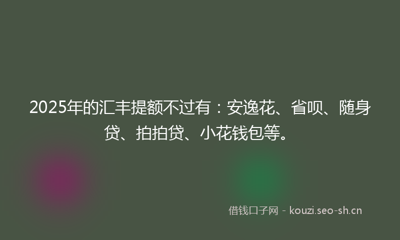 2025年的汇丰提额不过有：安逸花、省呗、随身贷、拍拍贷、小花钱包等。