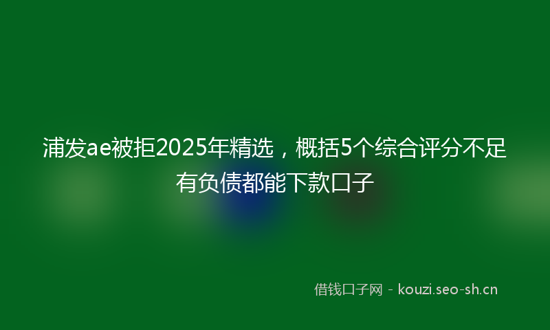 浦发ae被拒2025年精选，概括5个综合评分不足有负债都能下款口子