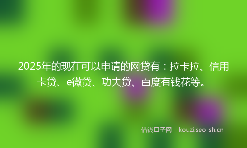 2025年的现在可以申请的网贷有：拉卡拉、信用卡贷、e微贷、功夫贷、百度有钱花等。