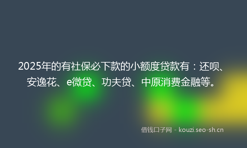 2025年的有社保必下款的小额度贷款有:还呗、安逸花、e微贷、功夫贷、中原消费金融等。