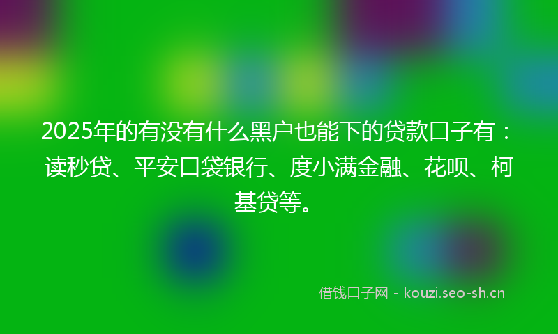 2025年的有没有什么黑户也能下的贷款口子有：读秒贷、平安口袋银行、度小满金融、花呗、柯基贷等。