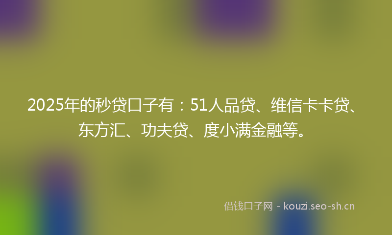 2025年的秒贷口子有：51人品贷、维信卡卡贷、东方汇、功夫贷、度小满金融等。