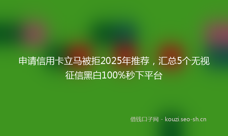 申请信用卡立马被拒2025年推荐，汇总5个无视征信黑白100%秒下平台