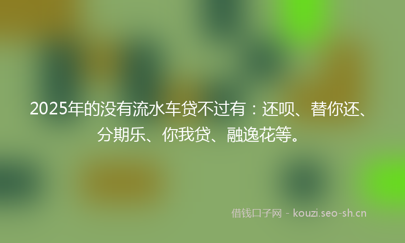 2025年的没有流水车贷不过有：还呗、替你还、分期乐、你我贷、融逸花等。