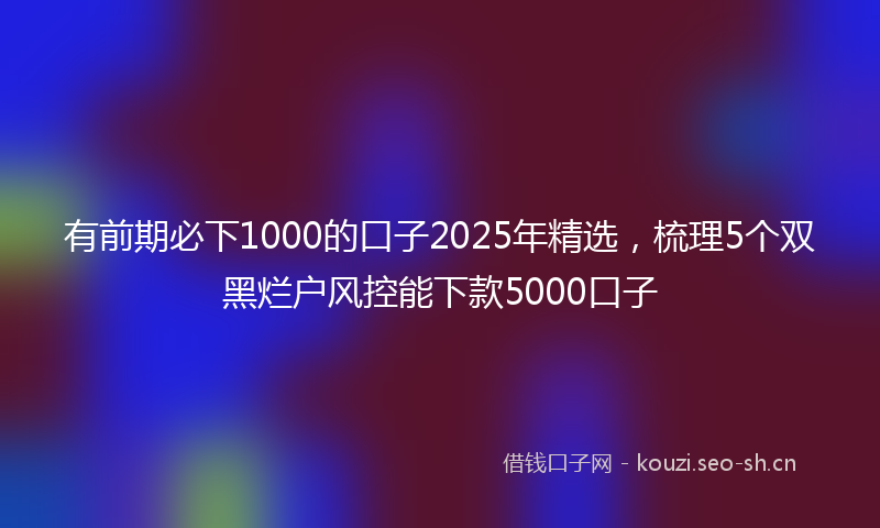 有前期必下1000的口子2025年精选，梳理5个双黑烂户风控能下款5000口子