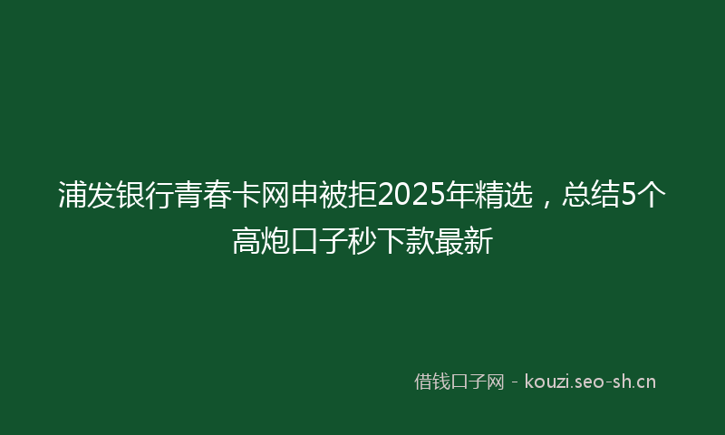 浦发银行青春卡网申被拒2025年精选，总结5个高炮口子秒下款最新