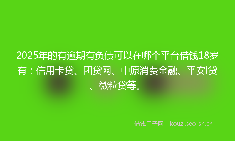 2025年的有逾期有负债可以在哪个平台借钱18岁有：信用卡贷、团贷网、中原消费金融、平安i贷、微粒贷等。