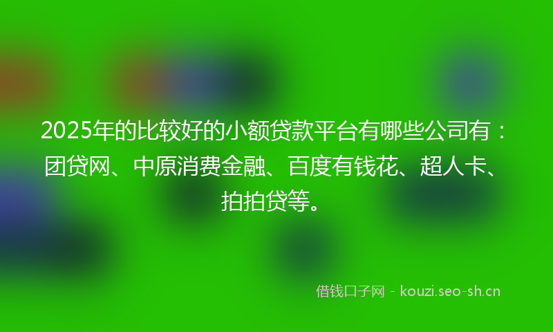 2025年的比较好的小额贷款平台有哪些公司有：团贷网、中原消费金融、百度有钱花、超人卡、拍拍贷等。
