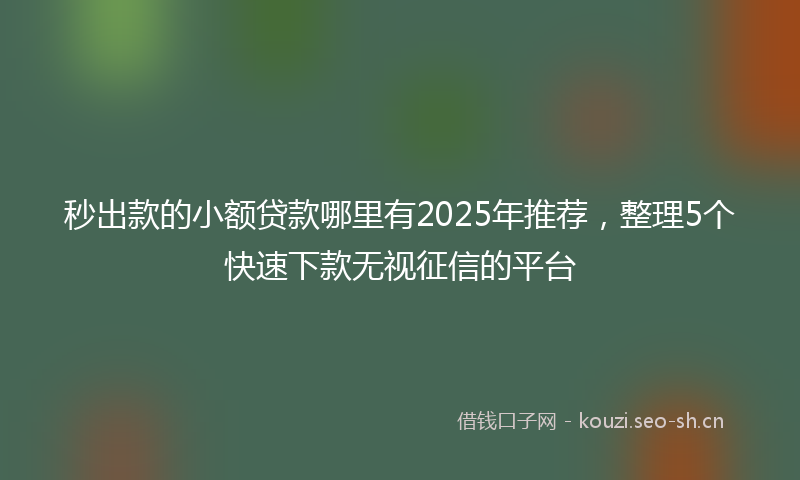 秒出款的小额贷款哪里有2025年推荐，整理5个快速下款无视征信的平台