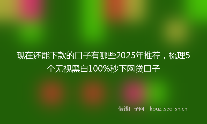 现在还能下款的口子有哪些2025年推荐，梳理5个无视黑白100%秒下网贷口子