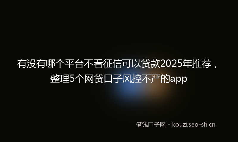 有没有哪个平台不看征信可以贷款2025年推荐，整理5个网贷口子风控不严的app