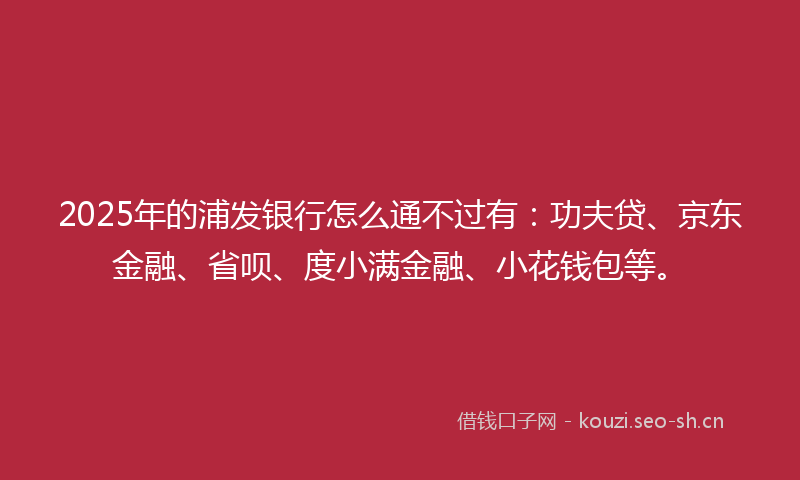 2025年的浦发银行怎么通不过有：功夫贷、京东金融、省呗、度小满金融、小花钱包等。