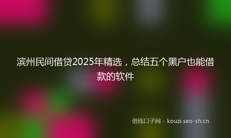 滨州民间借贷2025年精选，总结五个黑户也能借款的软件