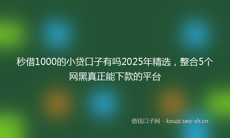 秒借1000的小贷口子有吗2025年精选，整合5个网黑真正能下款的平台