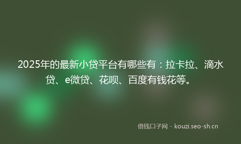 2025年的最新小贷平台有哪些有：拉卡拉、滴水贷、e微贷、花呗、百度有钱花等。