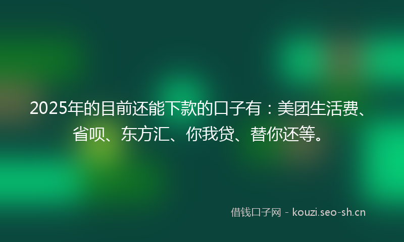 2025年的目前还能下款的口子有：美团生活费、省呗、东方汇、你我贷、替你还等。