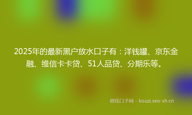 2025年的最新黑户放水口子有：洋钱罐、京东金融、维信卡卡贷、51人品贷、分期乐等。
