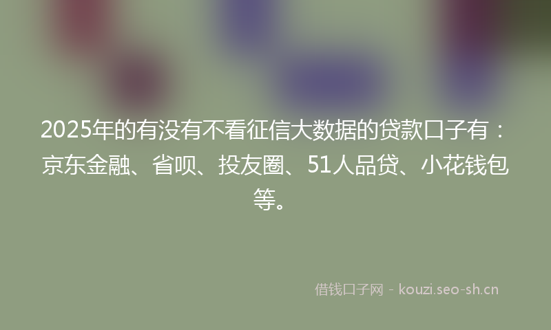 2025年的有没有不看征信大数据的贷款口子有：京东金融、省呗、投友圈、51人品贷、小花钱包等。