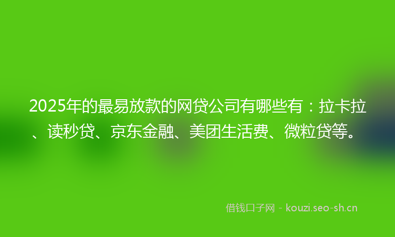 2025年的最易放款的网贷公司有哪些有：拉卡拉、读秒贷、京东金融、美团生活费、微粒贷等。