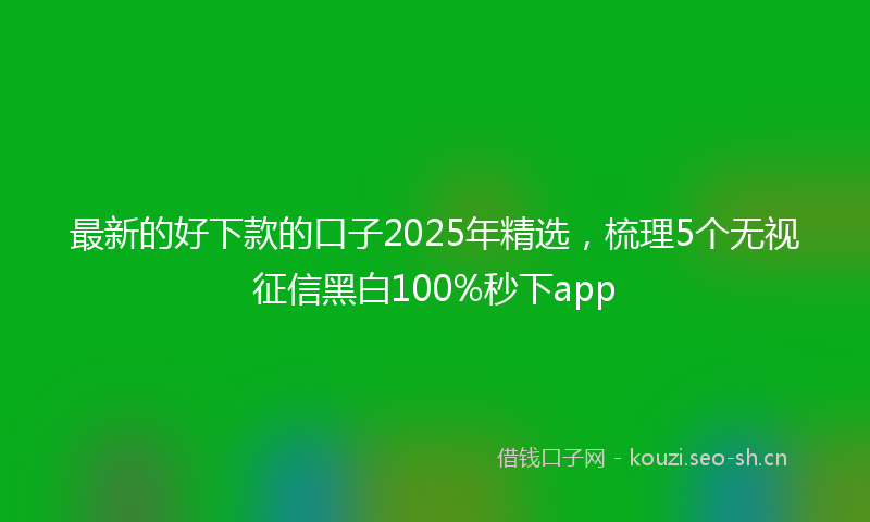 最新的好下款的口子2025年精选，梳理5个无视征信黑白100%秒下app