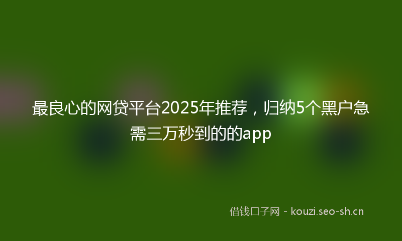 最良心的网贷平台2025年推荐，归纳5个黑户急需三万秒到的的app
